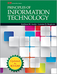 Principles of Information Technology, 1st Edition