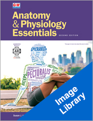 Anatomy & Physiology Essentials 2e, Image Library