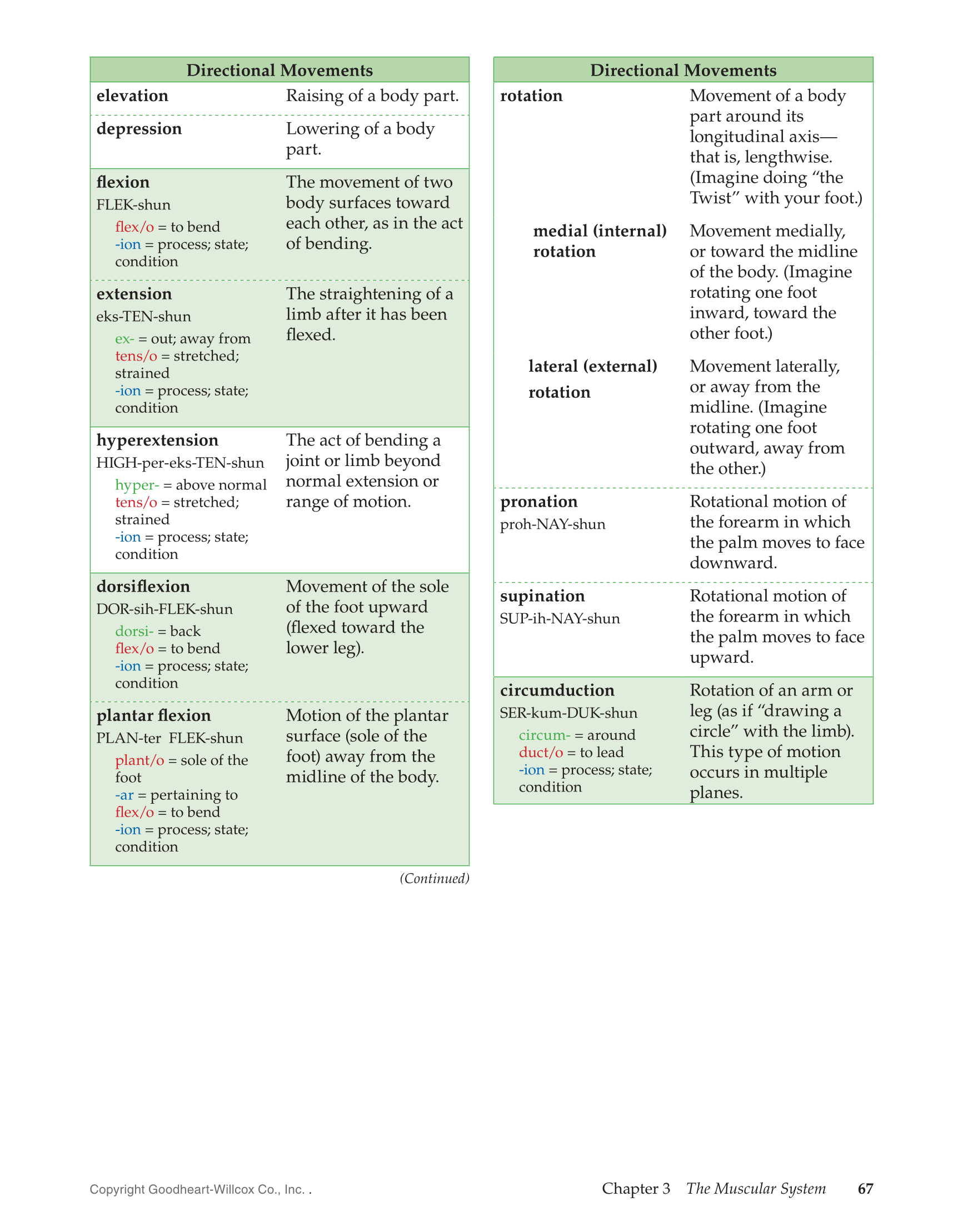 Rbt Terms And Definitions Printable Free