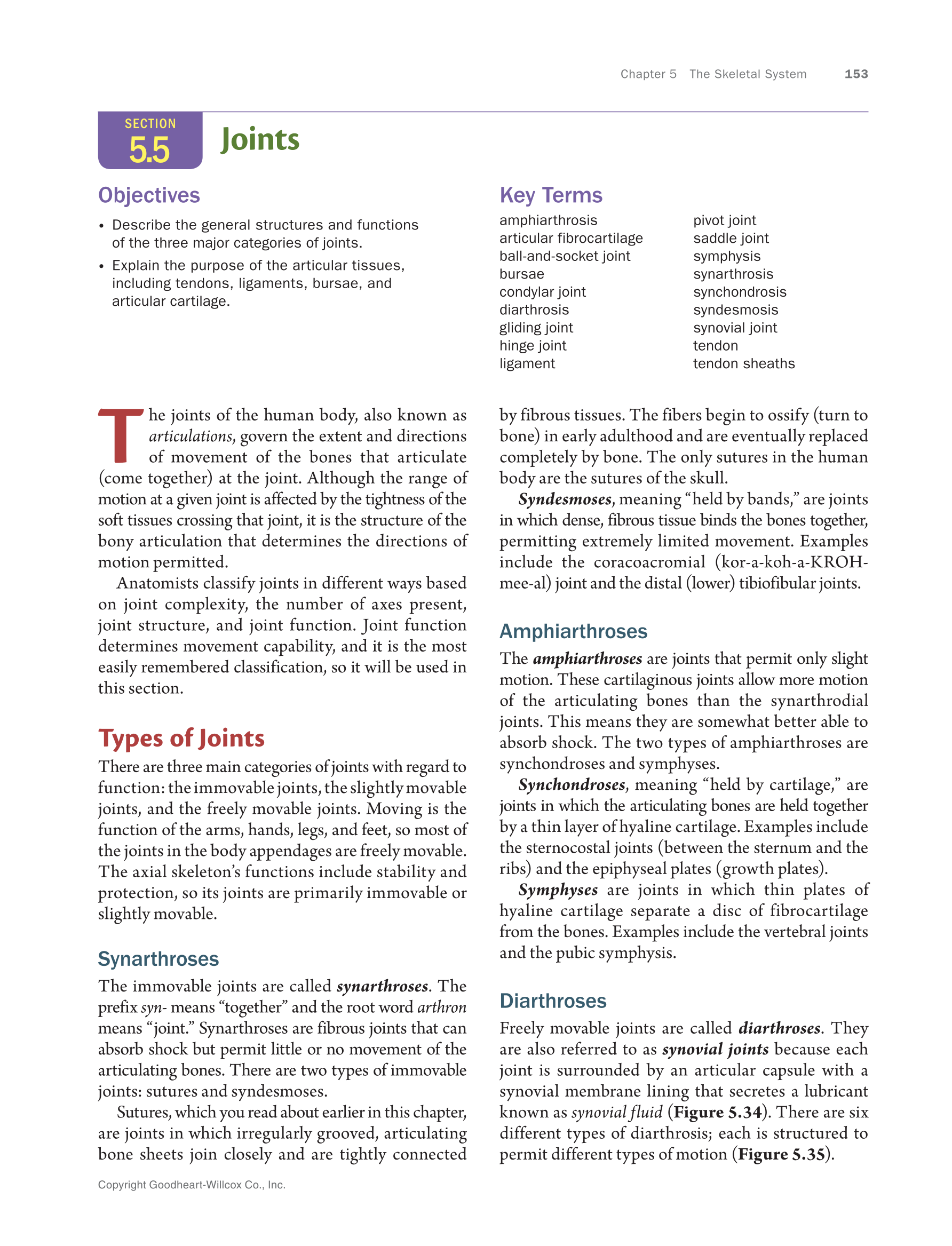 essentials of anatomy and physiology 12th edition