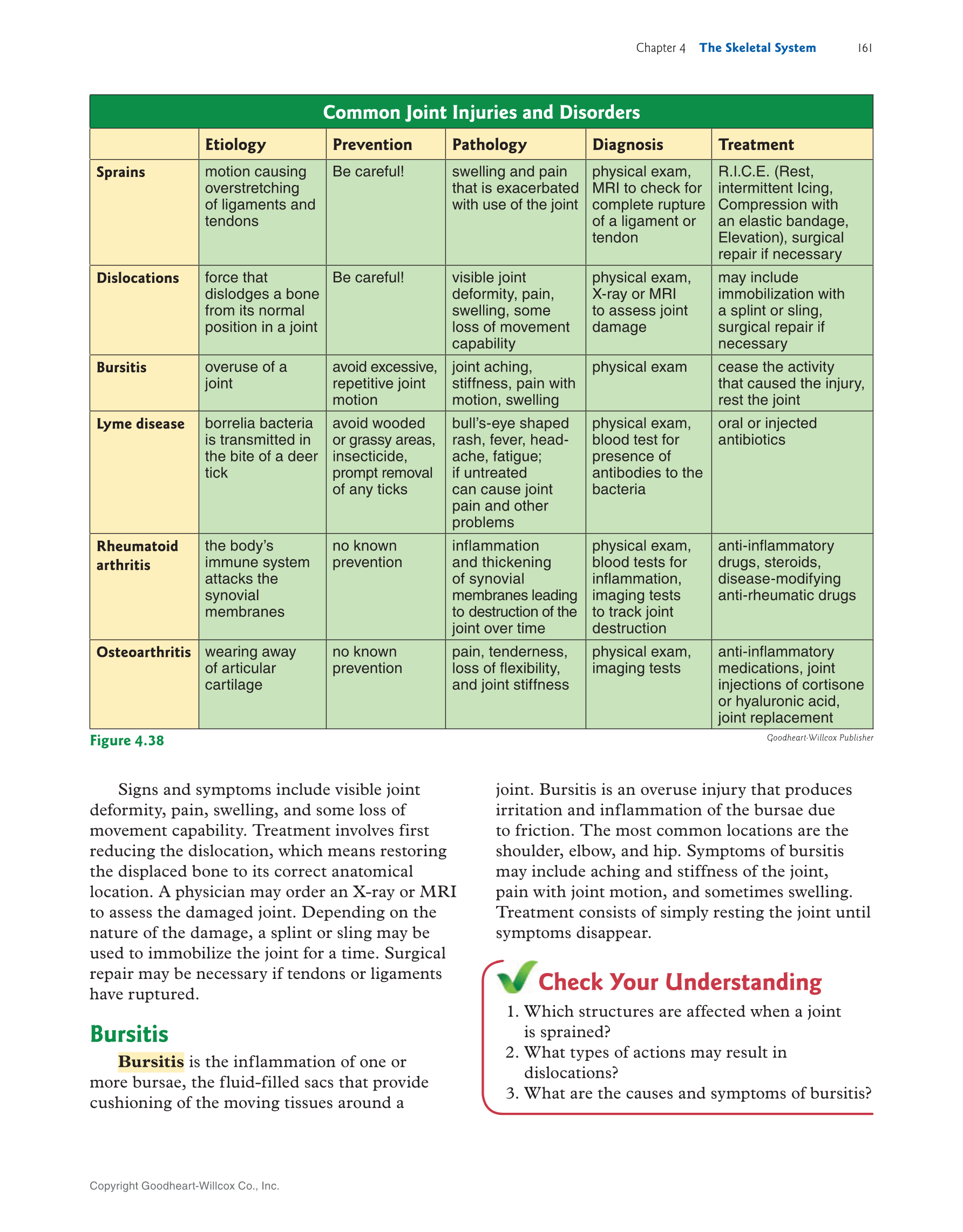 Printable Introduction To Anatomy And Physiology 2nd Edition Page 161 Printable Introduction To Anatomy And Physiology 2nd Edition Page 161