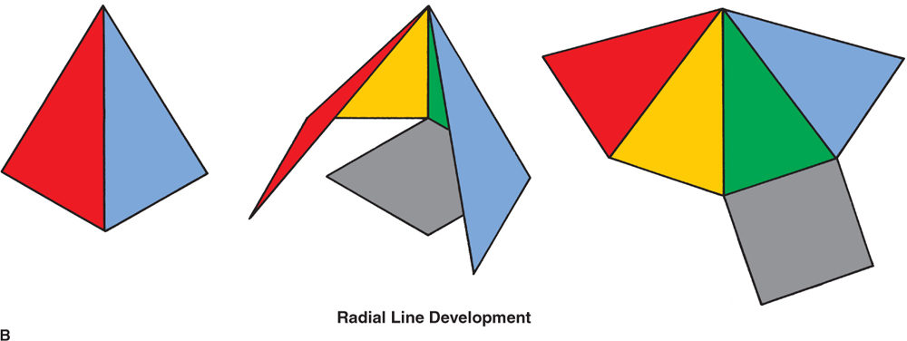 Radial Development Tizra Reader