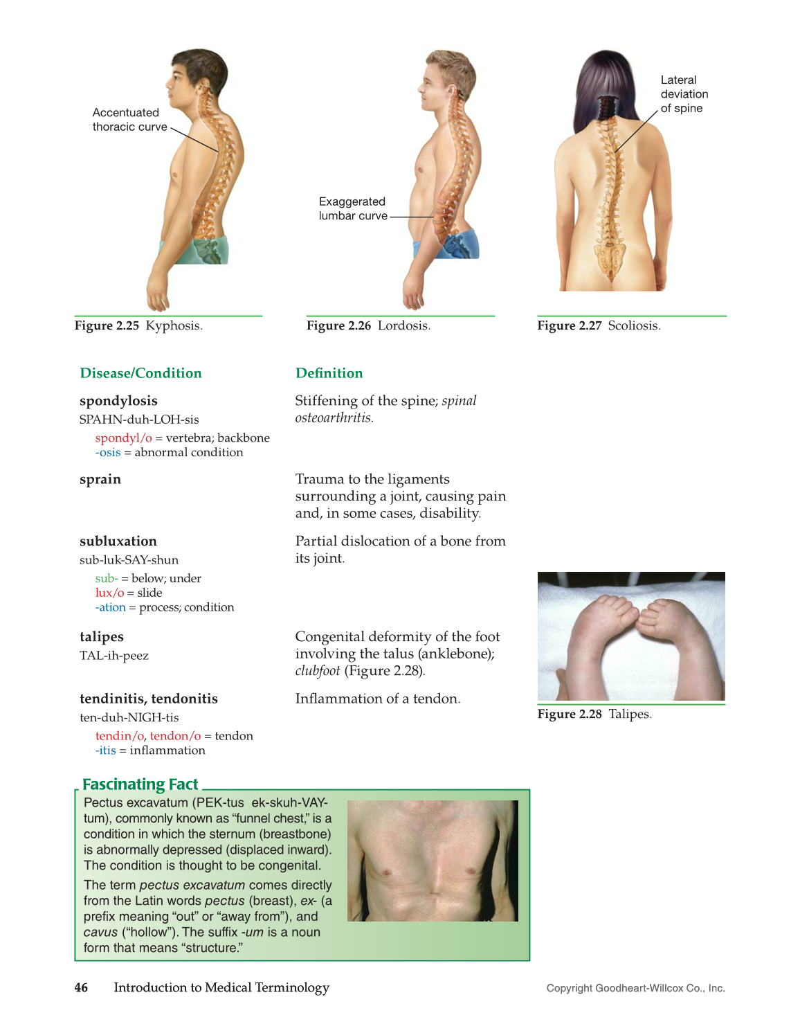 Introduction to Medical Terminology, 1st Edition page 46