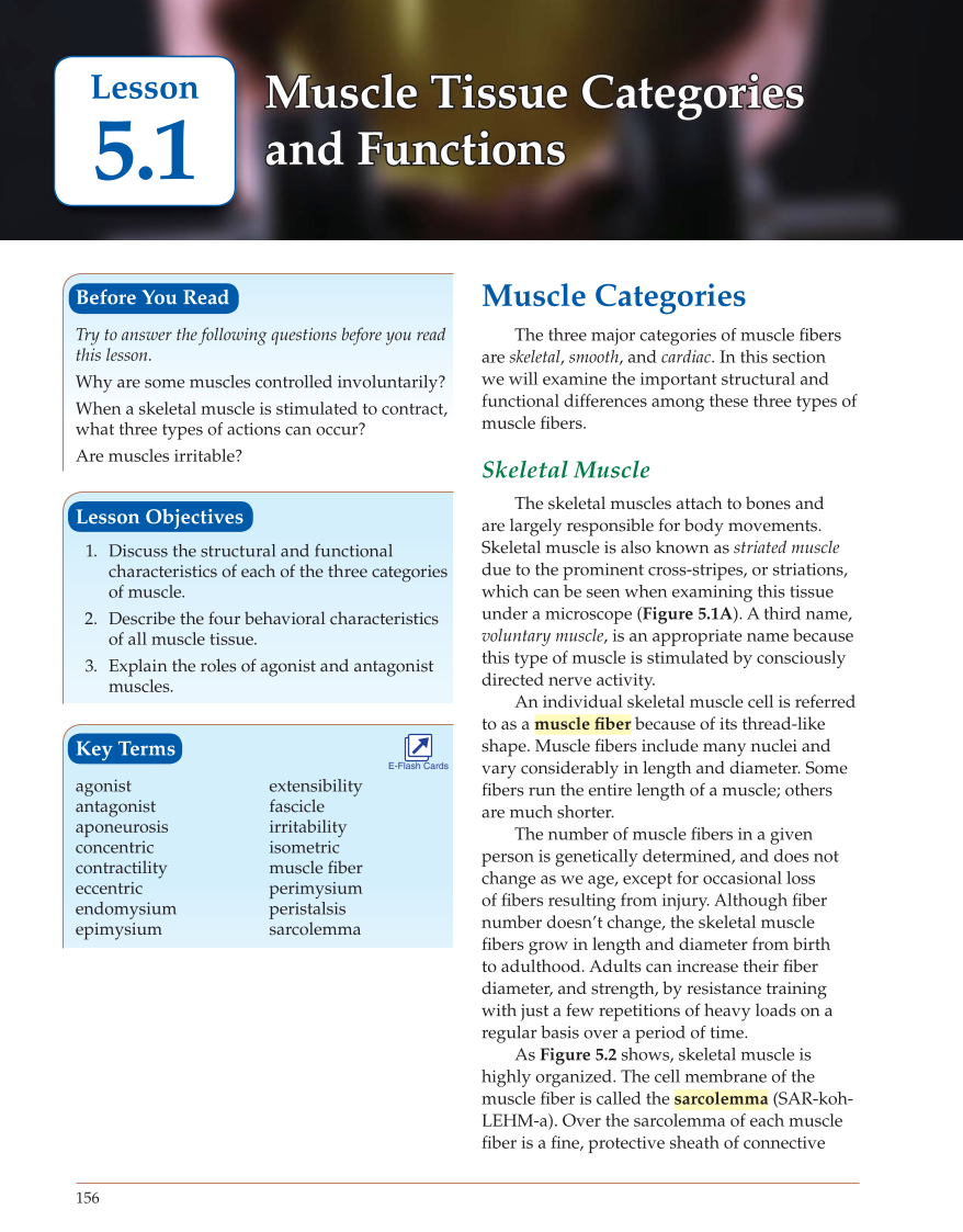 Introduction to Anatomy and Physiology, Online Student Edition page 156
