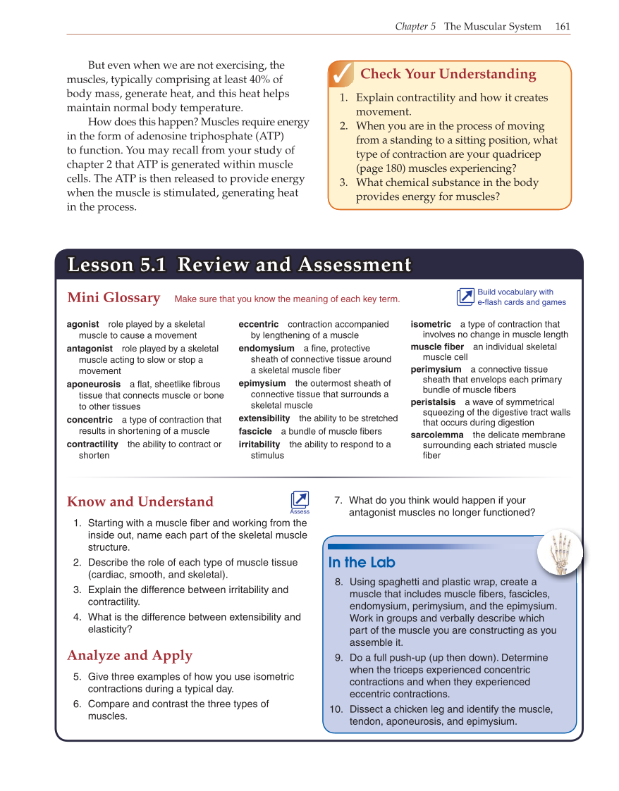 Introduction to Anatomy and Physiology, Online Student Edition page 161