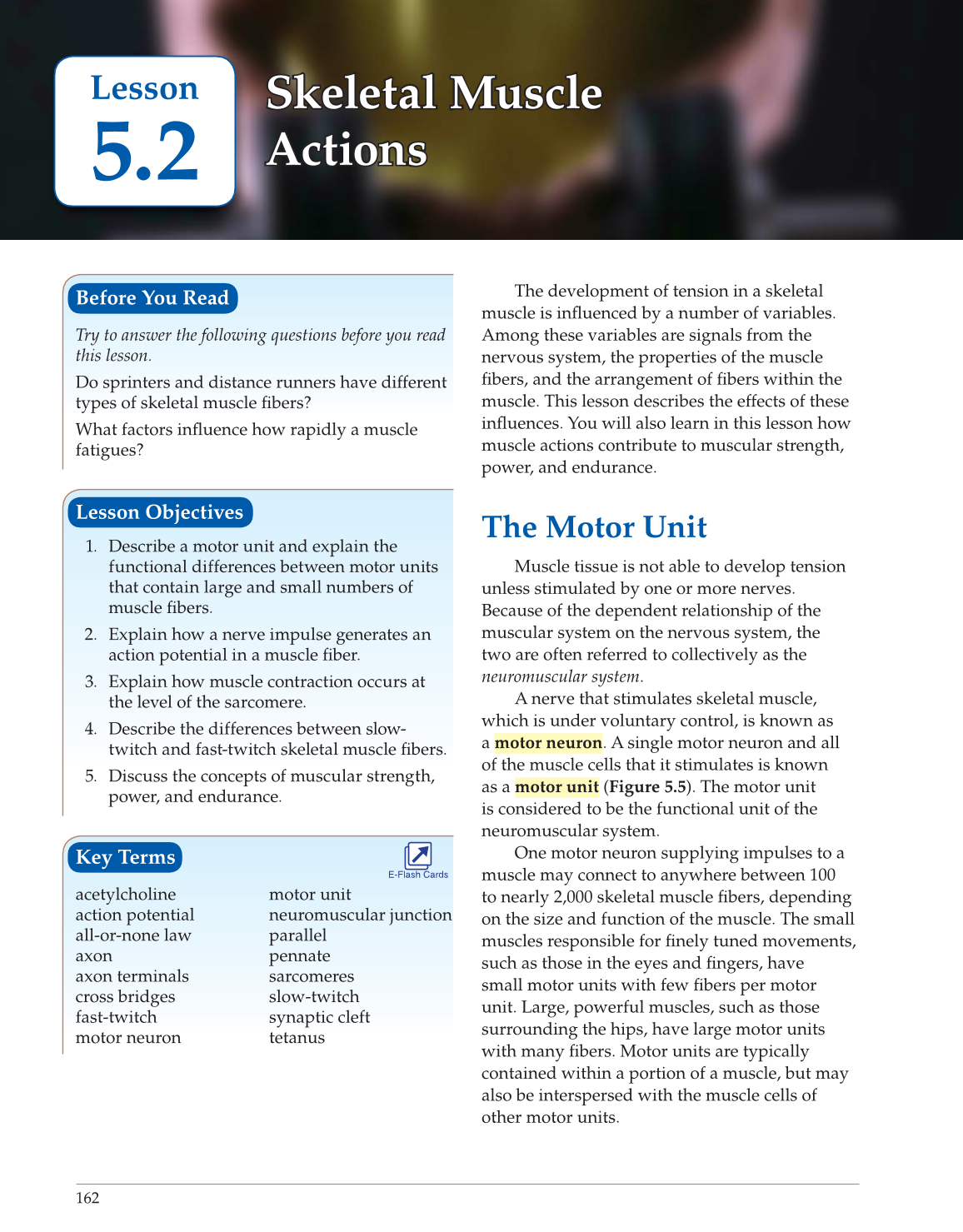 Introduction to Anatomy and Physiology, Online Student Edition page 162