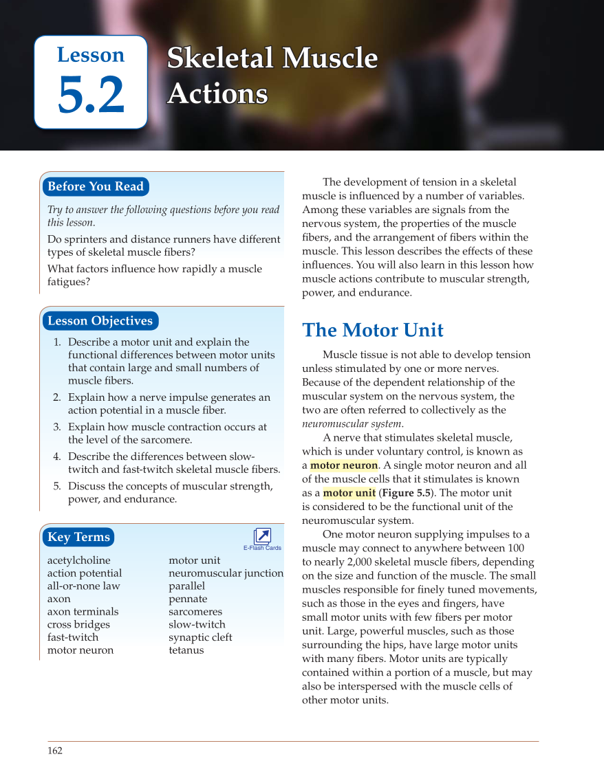 Introduction to Anatomy and Physiology, Online Student Edition page 162