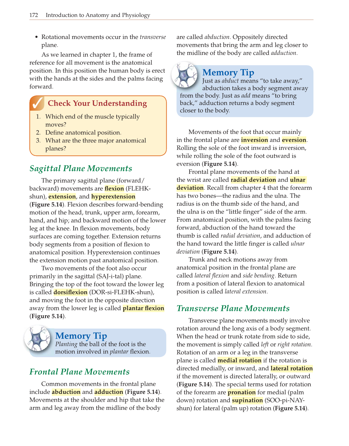 Introduction to Anatomy and Physiology, Online Student Edition page 172