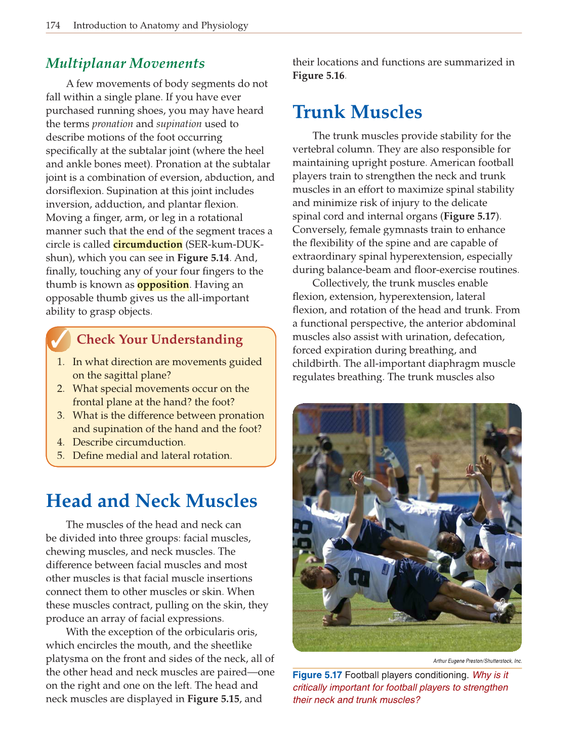 Introduction to Anatomy and Physiology, Online Student Edition page 174