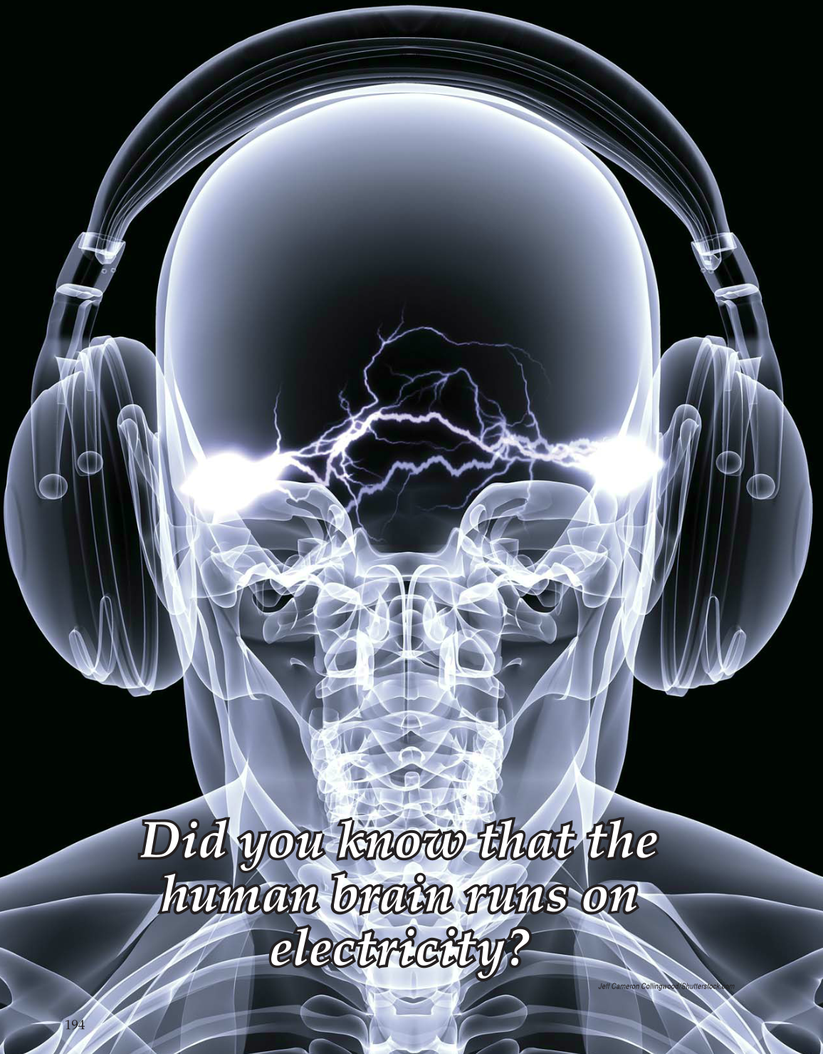 Introduction to Anatomy and Physiology, Online Student Edition page 194