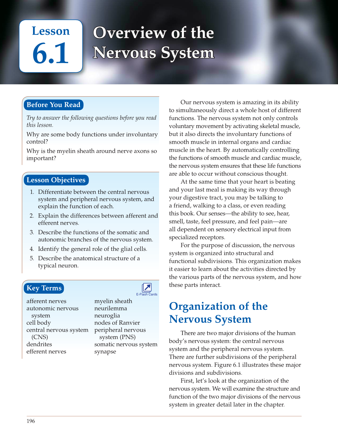 Introduction to Anatomy and Physiology, Online Student Edition page 196