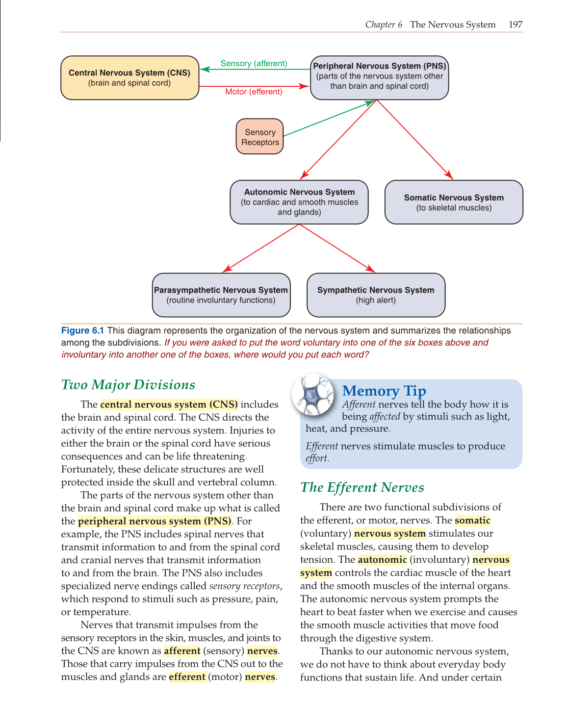 Introduction to Anatomy and Physiology, Online Student Edition page 197
