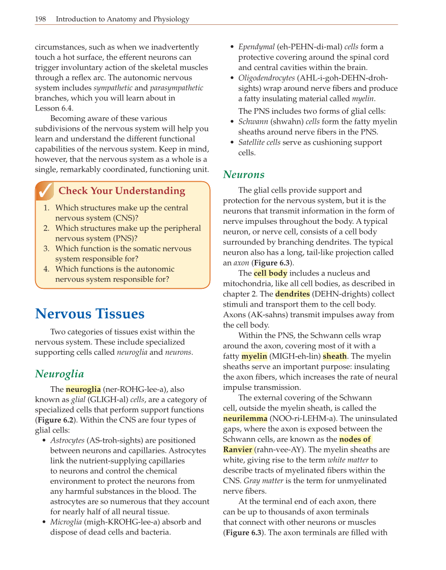 Introduction to Anatomy and Physiology, Online Student Edition page 198