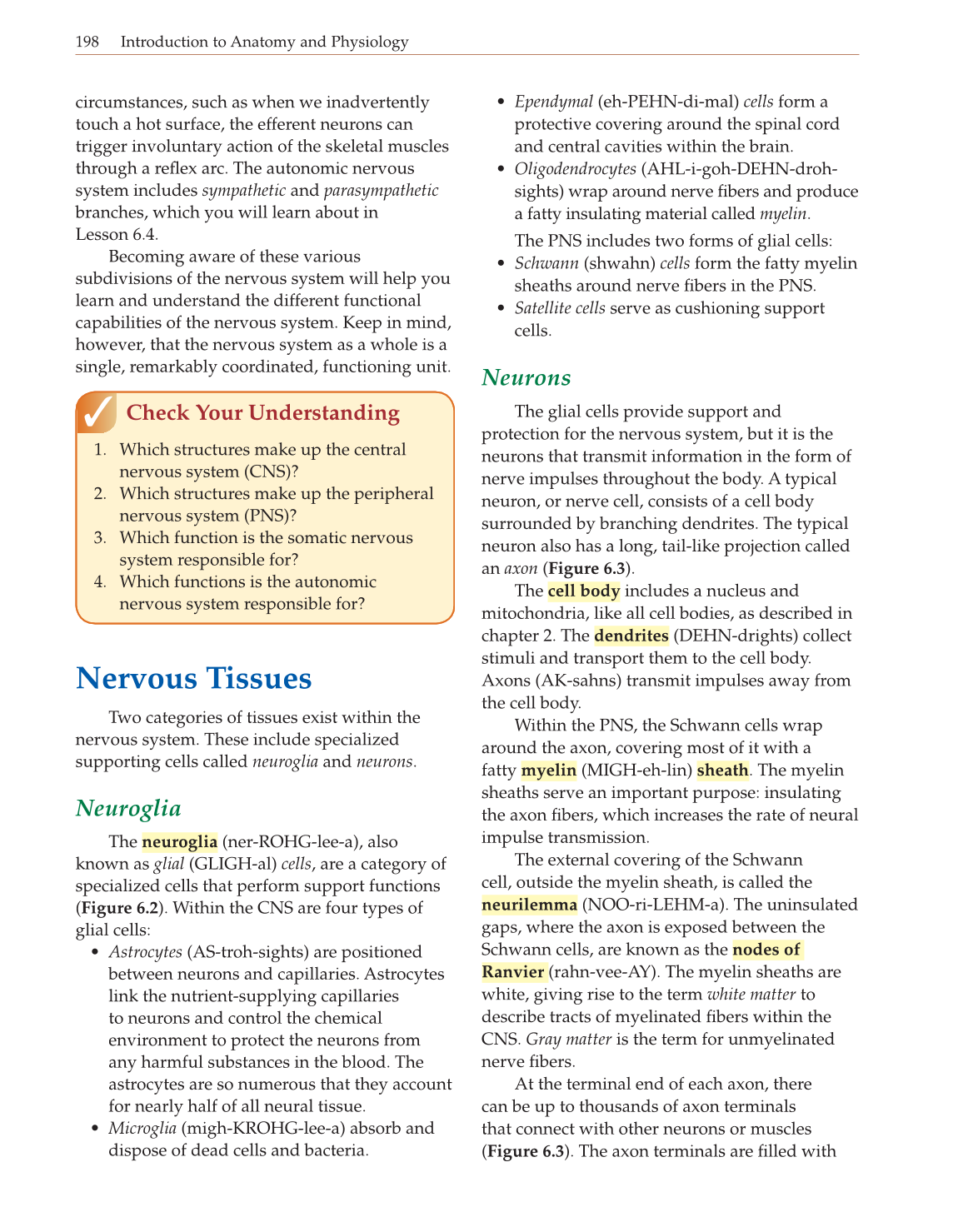 Introduction to Anatomy and Physiology, Online Student Edition page 198