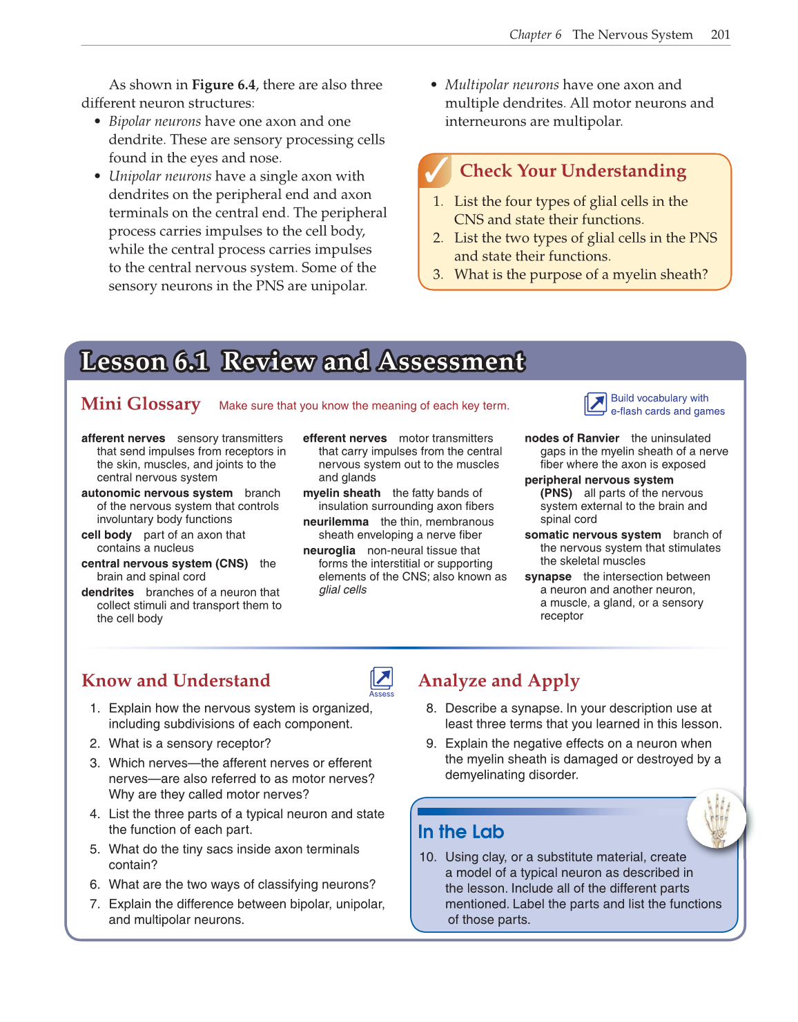 Introduction to Anatomy and Physiology, Online Student Edition page 201