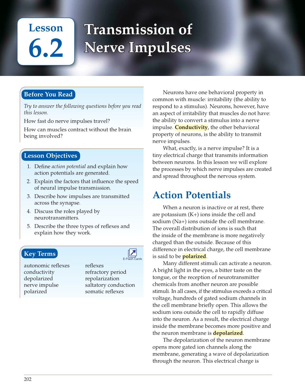 Introduction to Anatomy and Physiology, Online Student Edition page 202