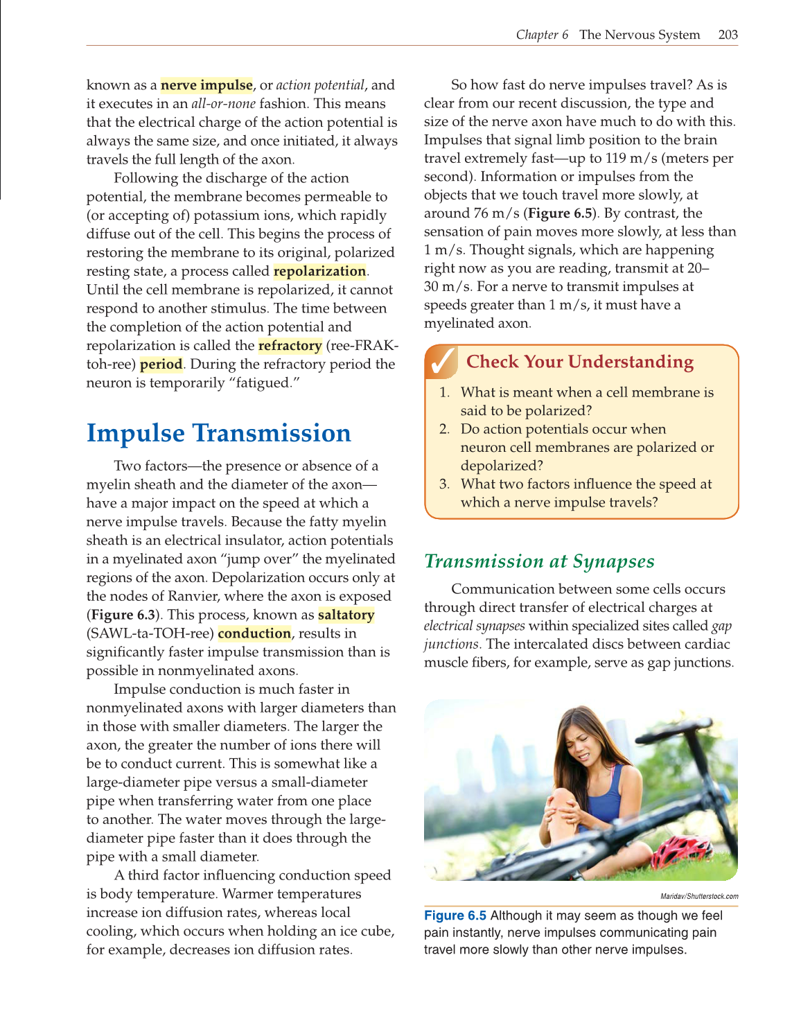 Introduction to Anatomy and Physiology, Online Student Edition page 203