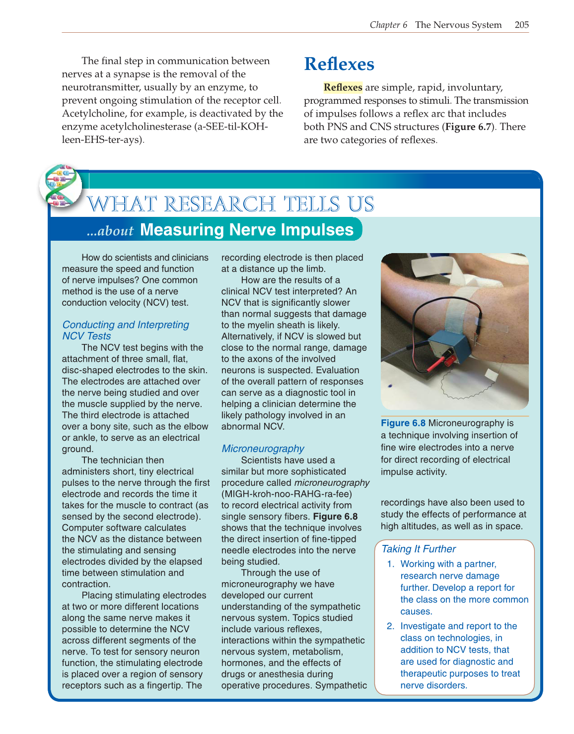Introduction to Anatomy and Physiology, Online Student Edition page 205