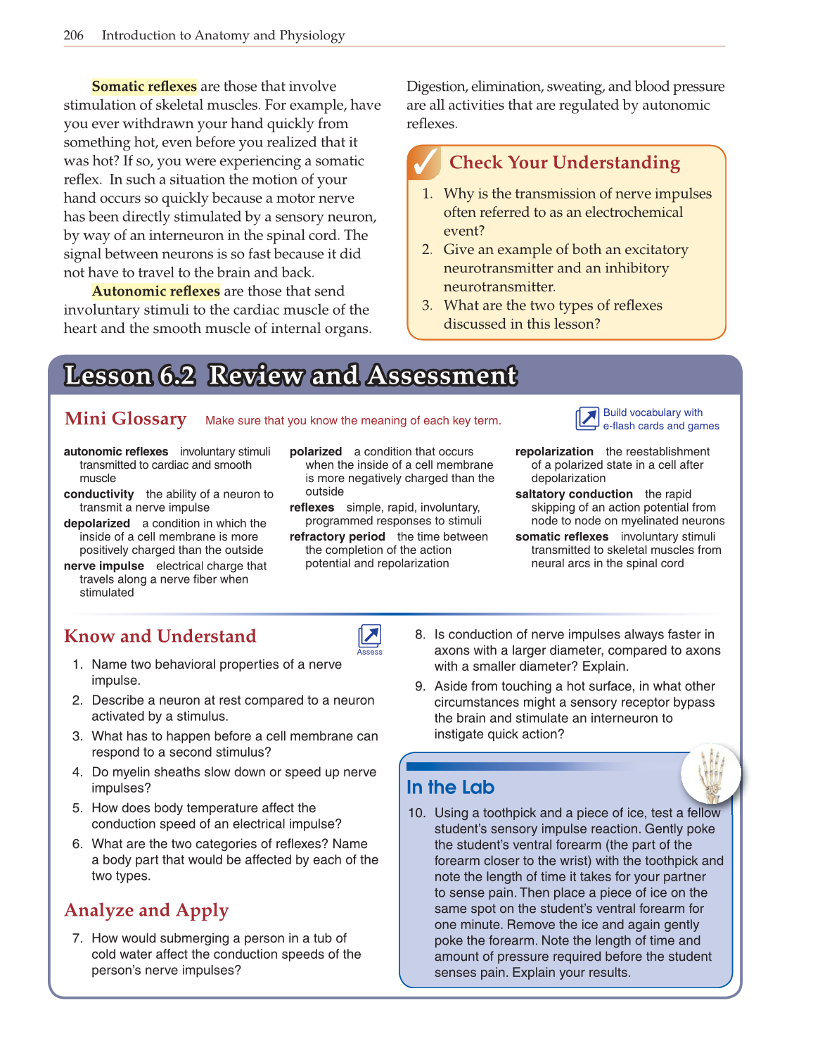 Introduction to Anatomy and Physiology, Online Student Edition page 206