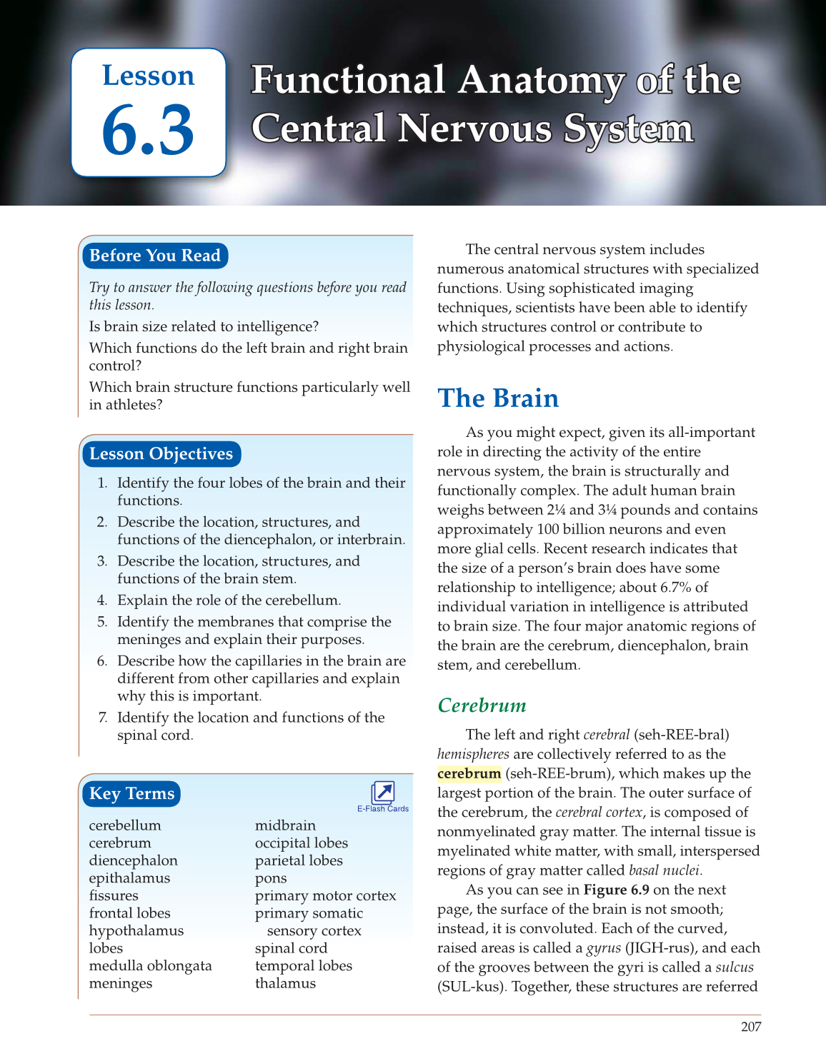 Introduction to Anatomy and Physiology, Online Student Edition page 207
