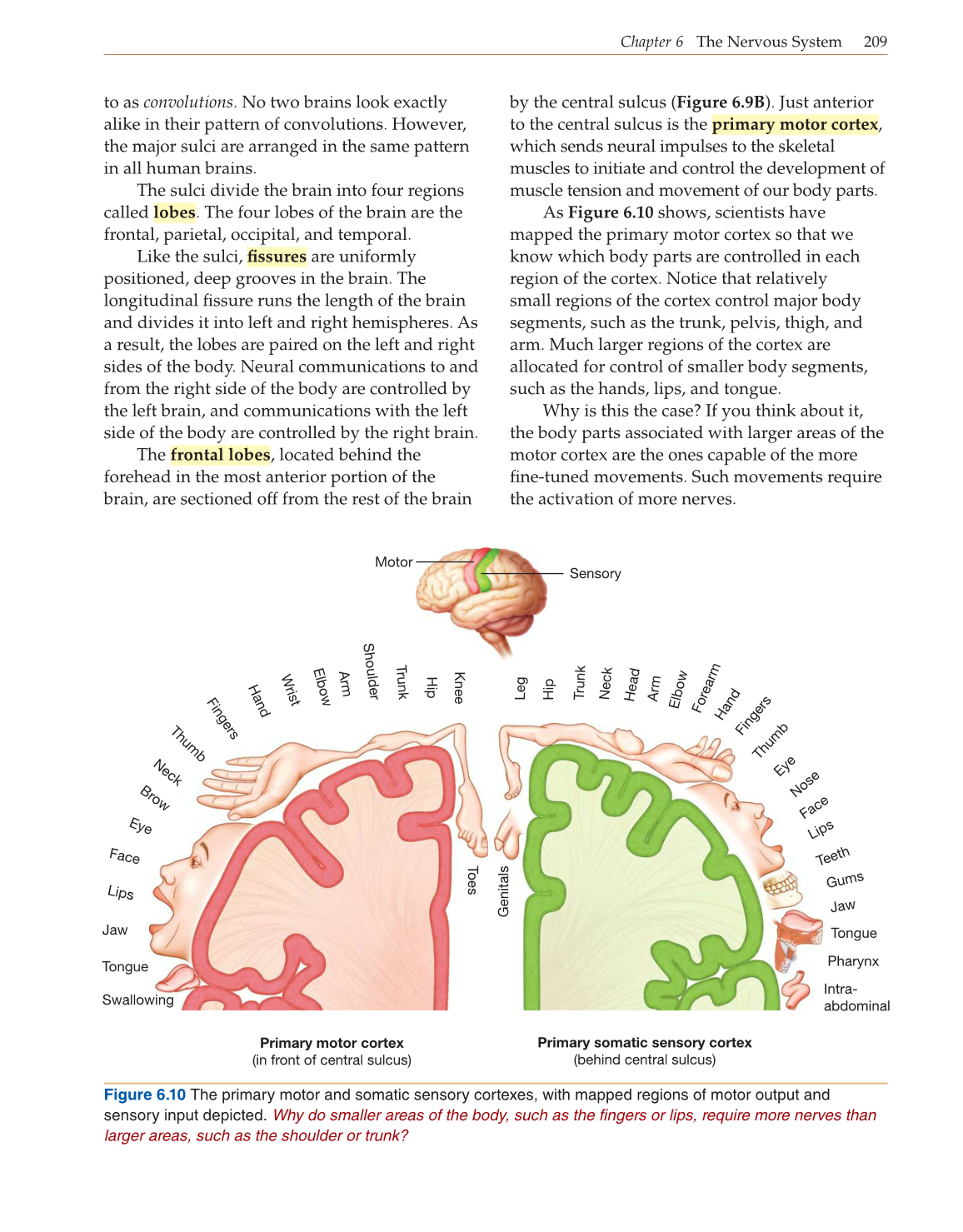 Introduction to Anatomy and Physiology, Online Student Edition page 209