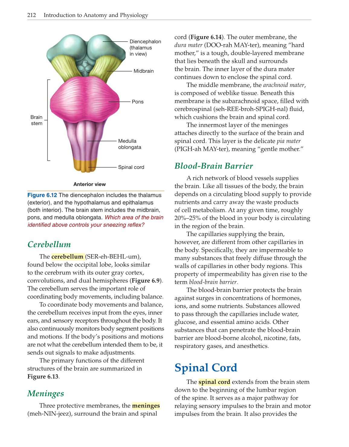 Introduction to Anatomy and Physiology, Online Student Edition page 212