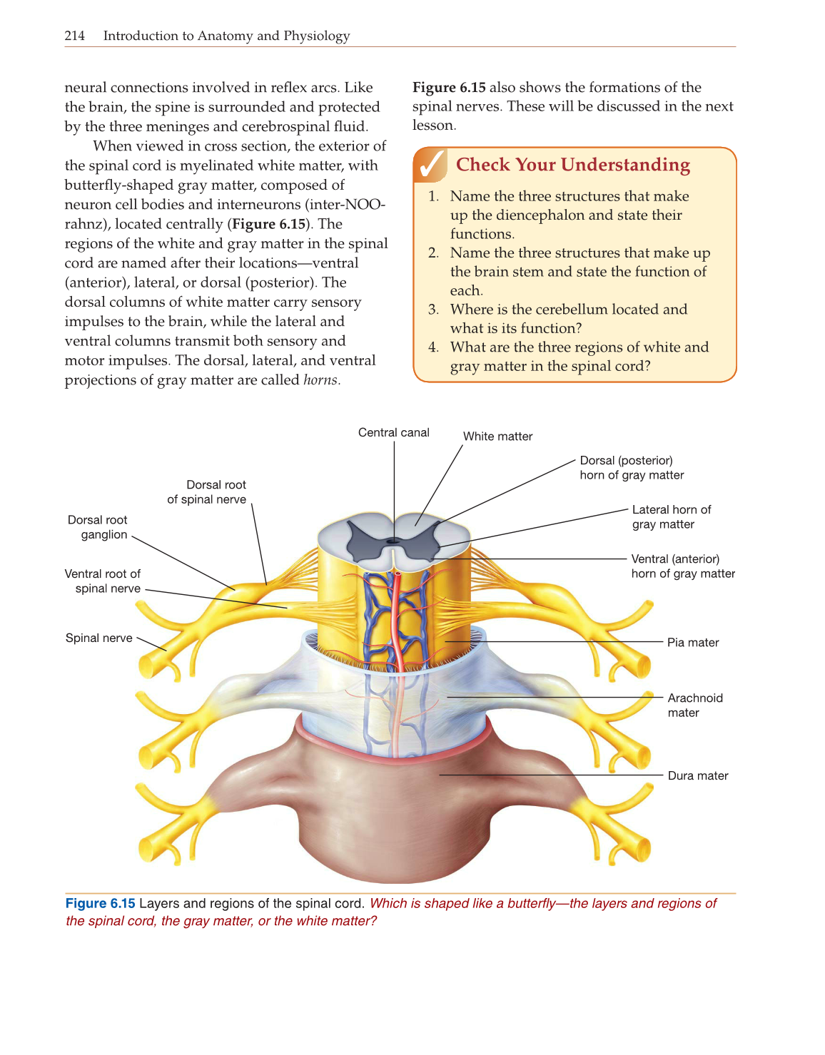 Introduction to Anatomy and Physiology, Online Student Edition page 214