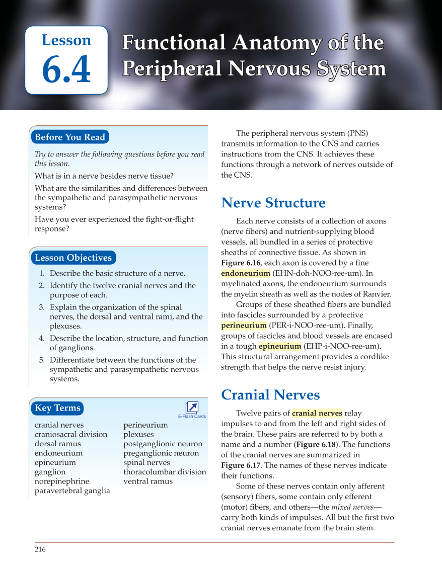 Introduction to Anatomy and Physiology, Online Student Edition page 216