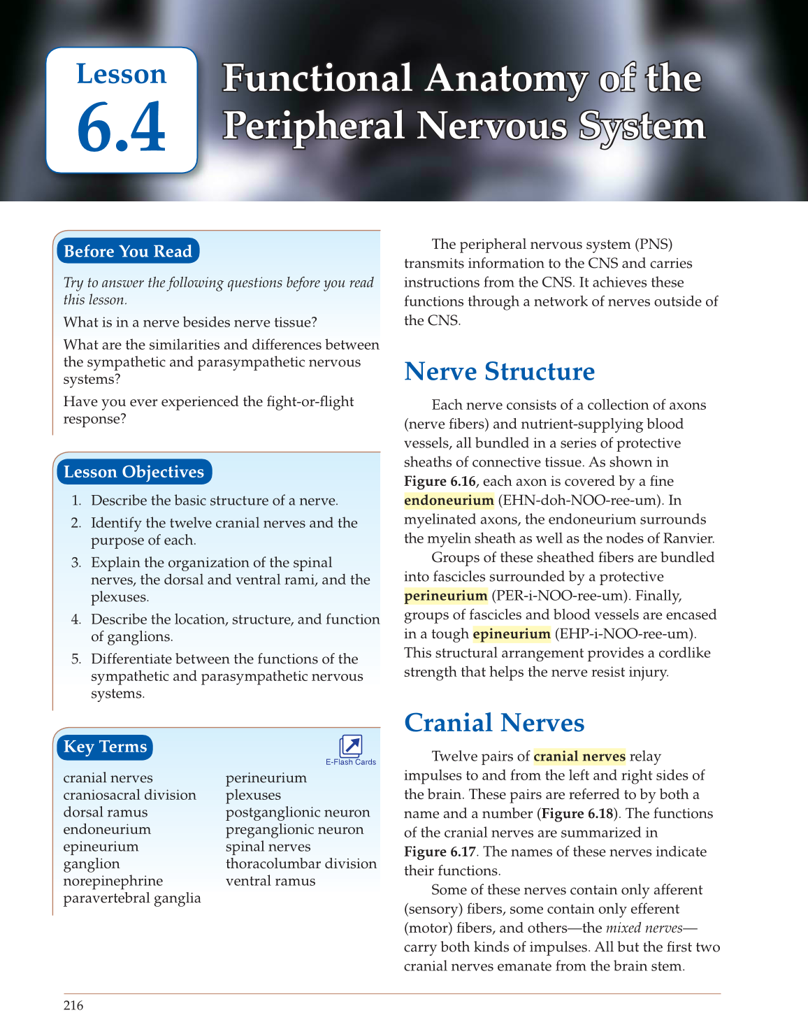 Introduction to Anatomy and Physiology, Online Student Edition page 216