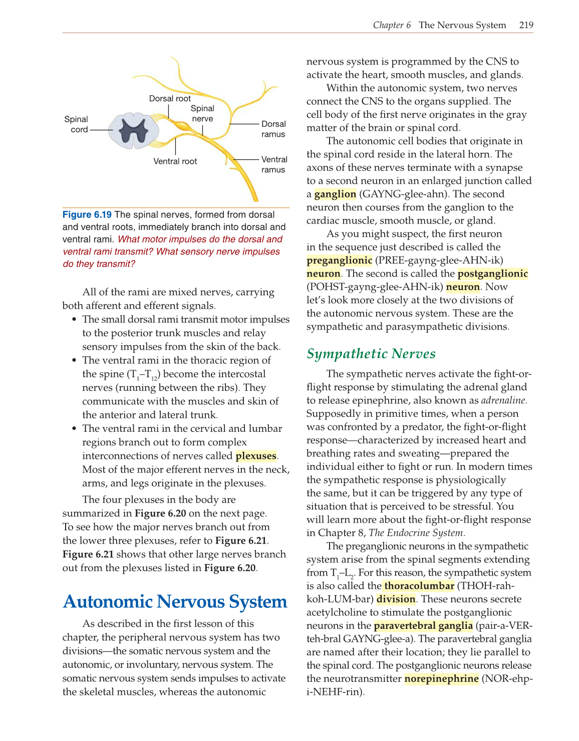 Introduction to Anatomy and Physiology, Online Student Edition page 219