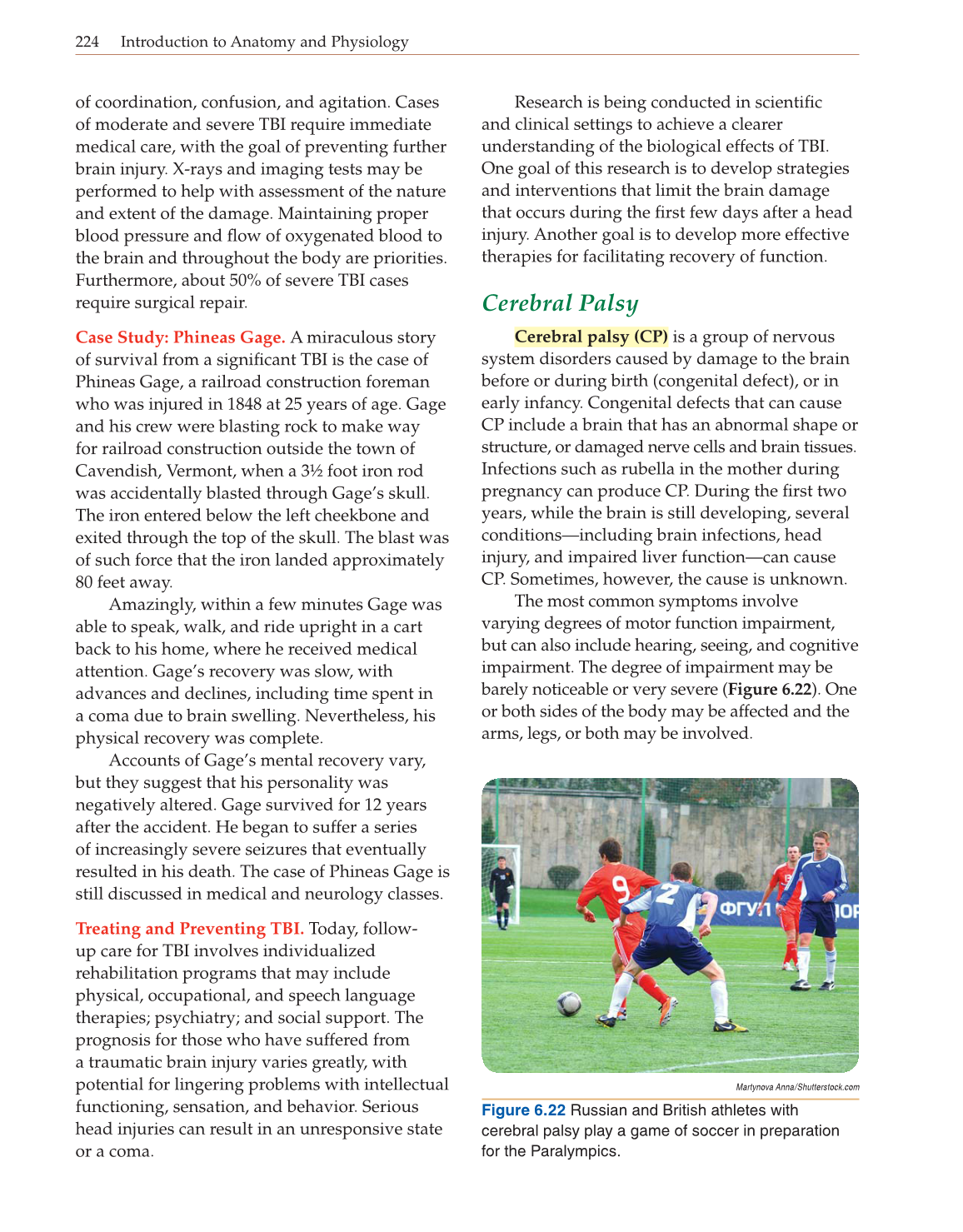 Introduction to Anatomy and Physiology, Online Student Edition page 224