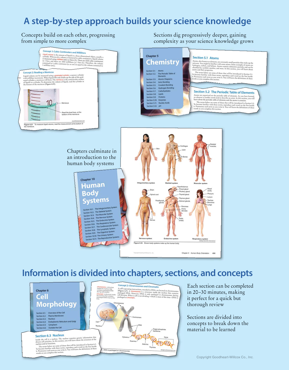 Preparing for A&P: Basic Science and Biology, 1st Edition page ii