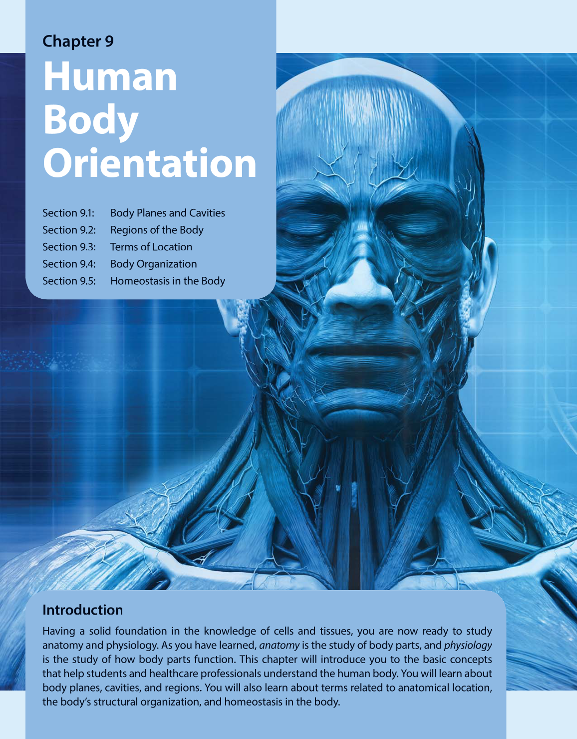 Preparing for A&P: Basic Science and Biology, 1st Edition page 428