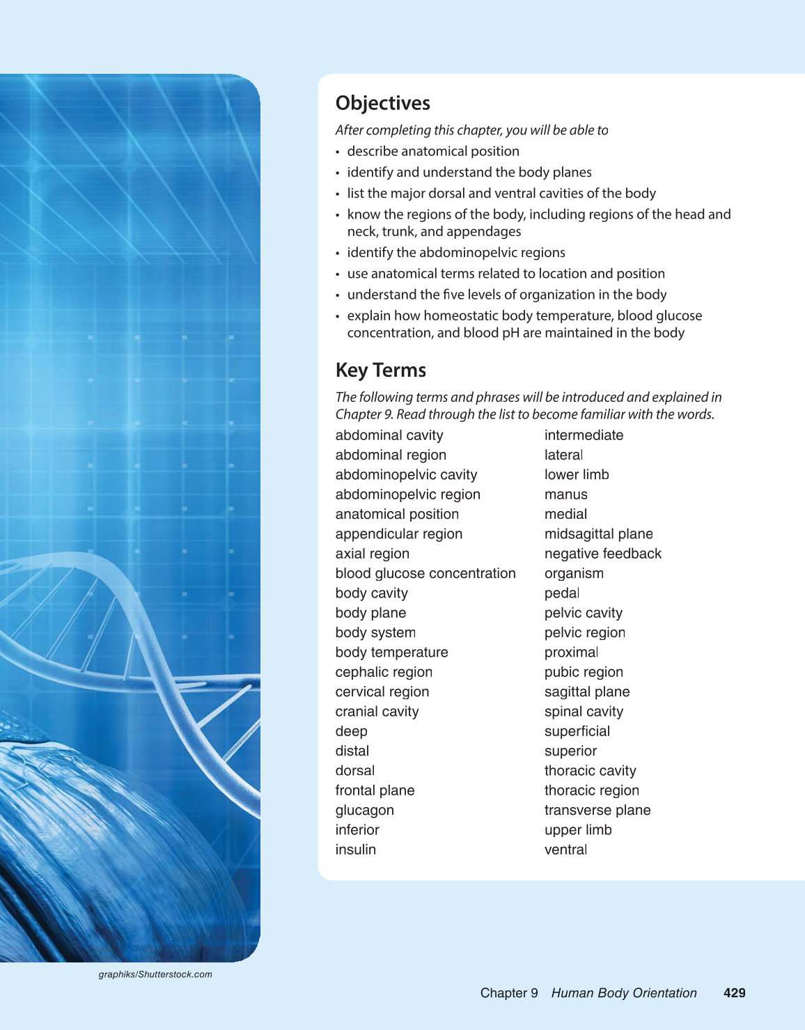 Preparing for A&P: Basic Science and Biology, 1st Edition page 429