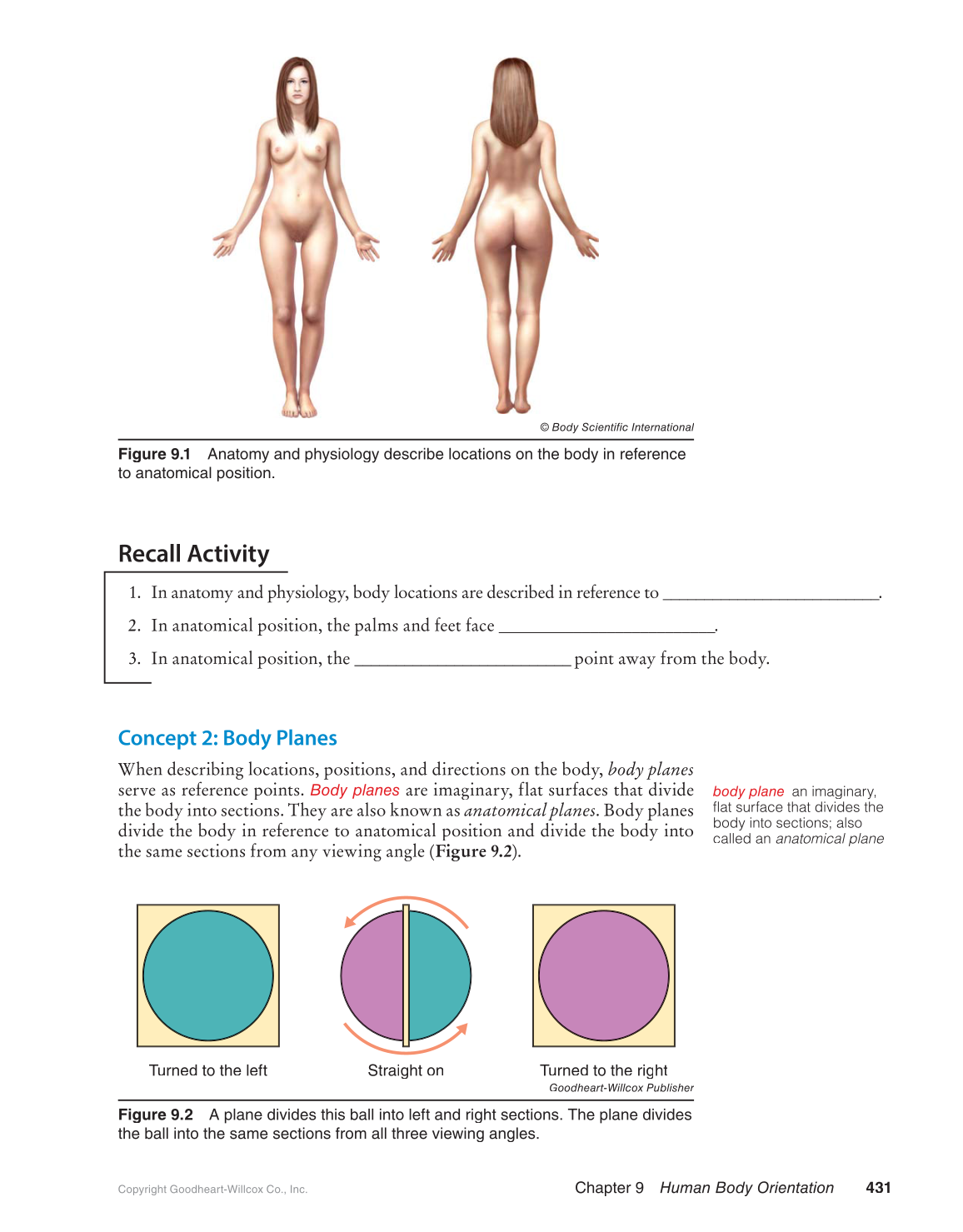 Preparing for A&P: Basic Science and Biology, 1st Edition page 431