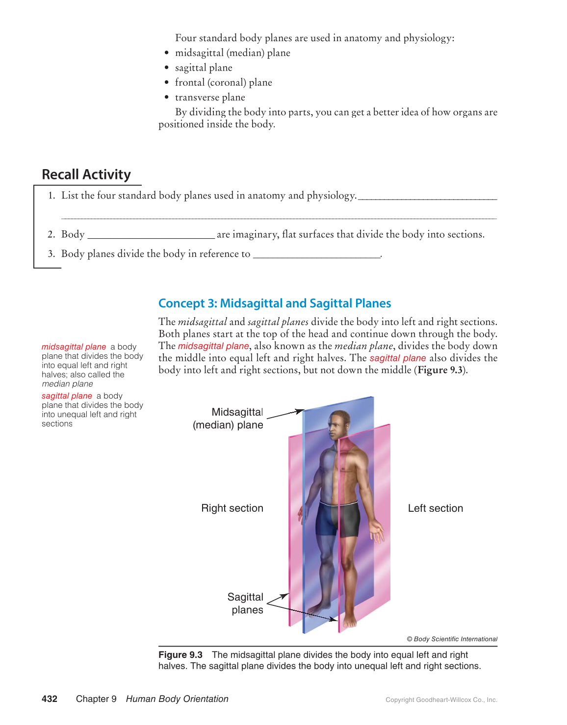 Preparing for A&P: Basic Science and Biology, 1st Edition page 432
