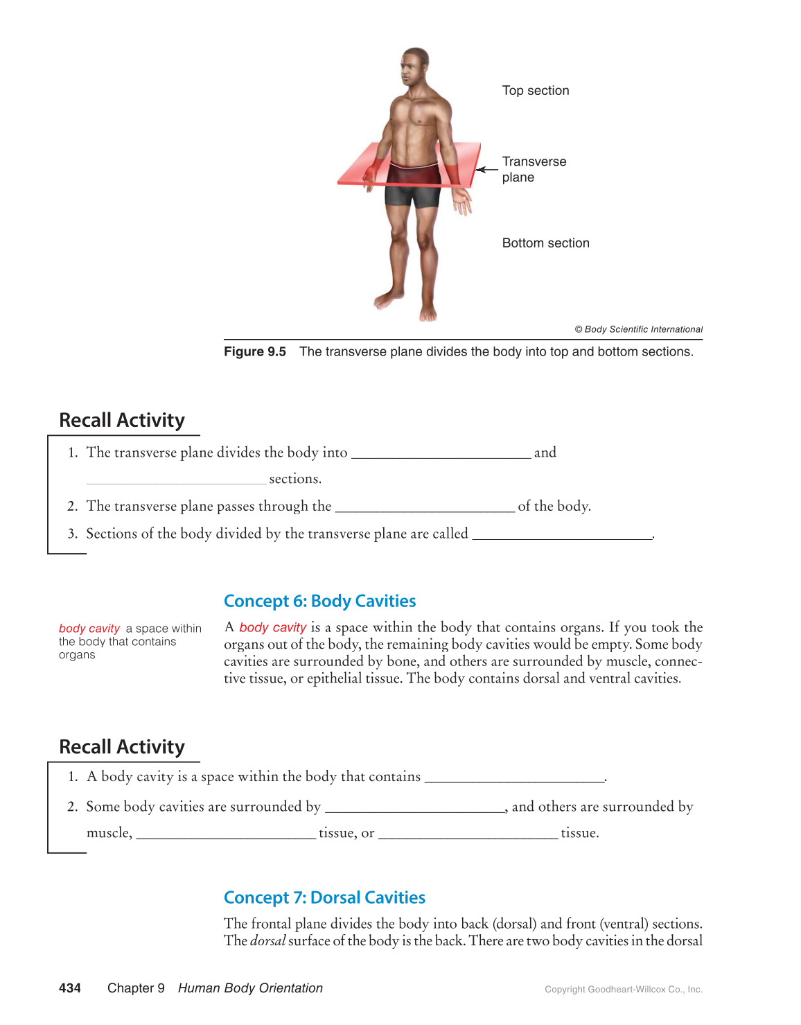 Preparing for A&P: Basic Science and Biology, 1st Edition page 434