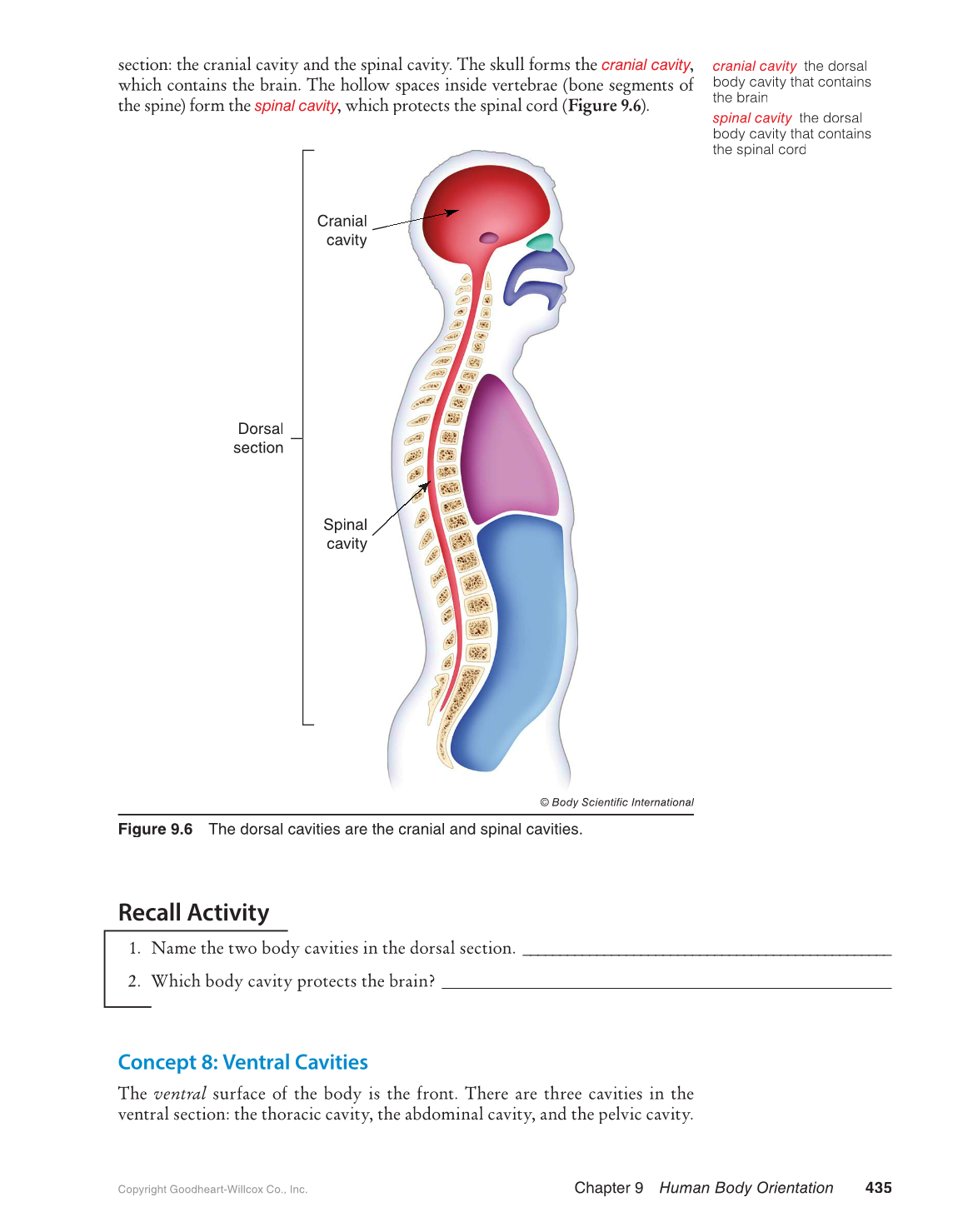 Preparing for A&P: Basic Science and Biology, 1st Edition page 435