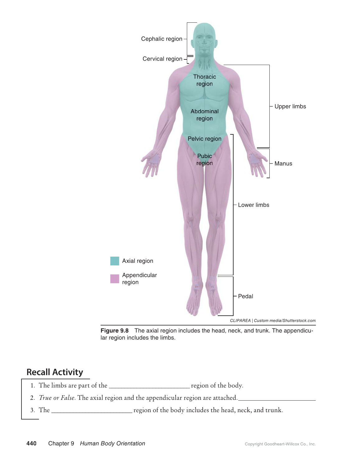 Preparing for A&P: Basic Science and Biology, 1st Edition page 440
