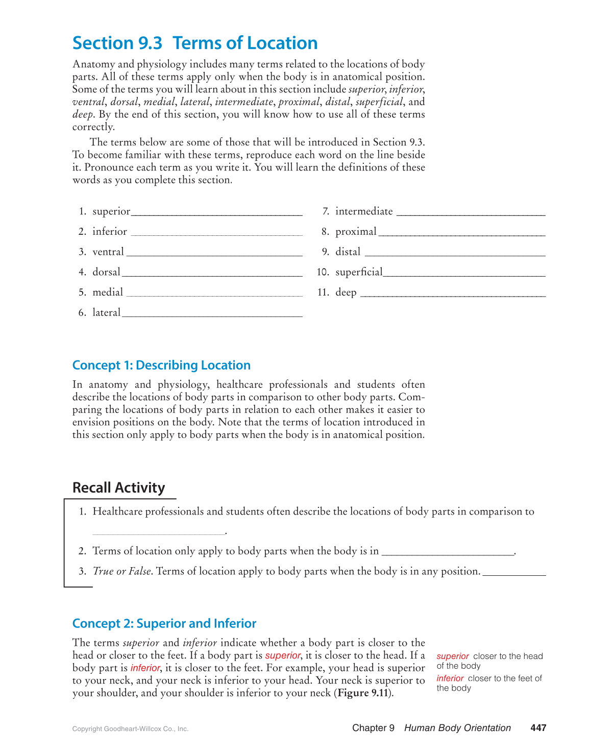 Preparing for A&P: Basic Science and Biology, 1st Edition page 447