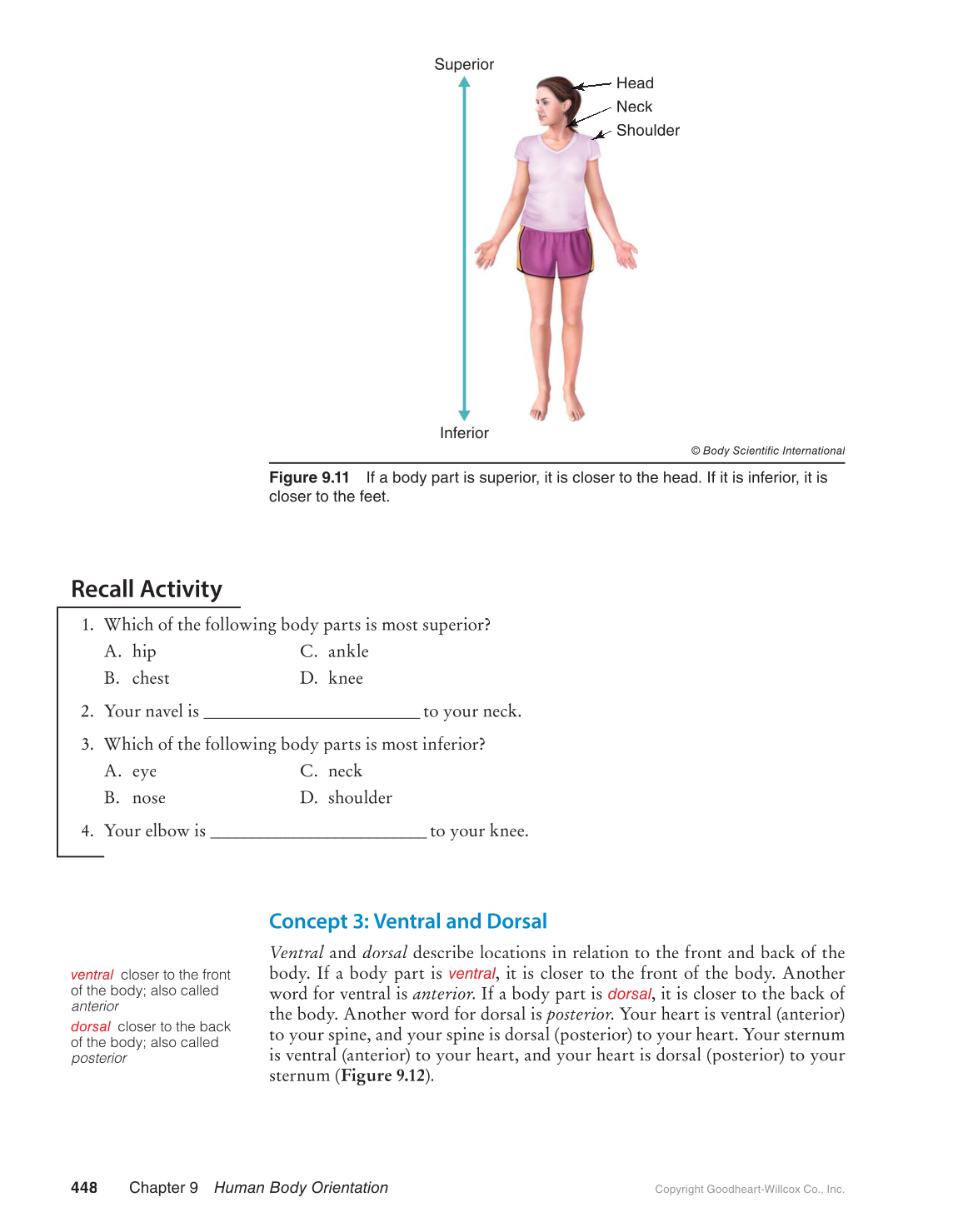 Preparing for A&P: Basic Science and Biology, 1st Edition page 448