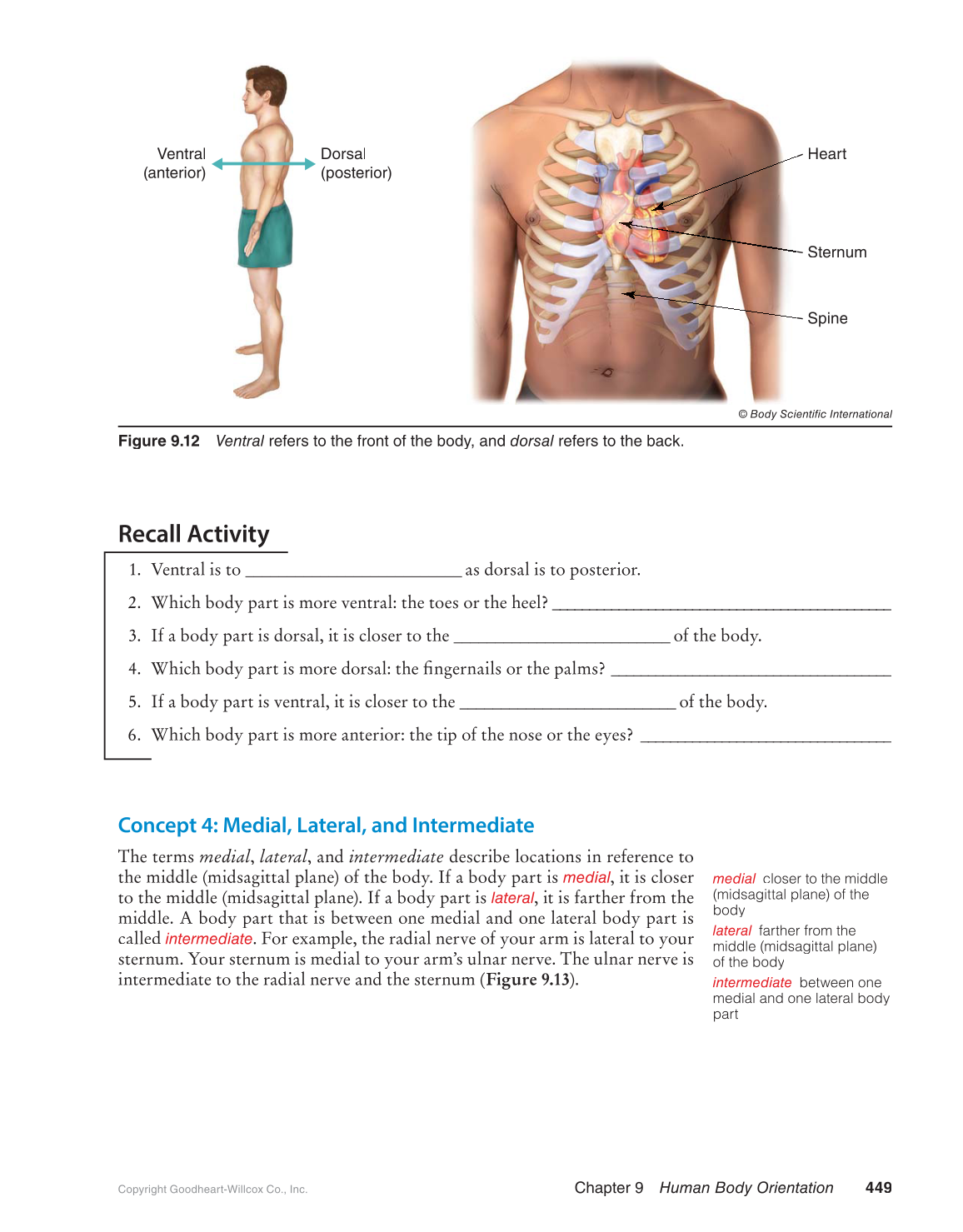 Preparing for A&P: Basic Science and Biology, 1st Edition page 449