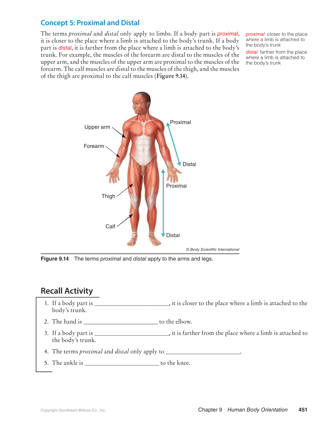 Preparing for A&P: Basic Science and Biology, 1st Edition page 451