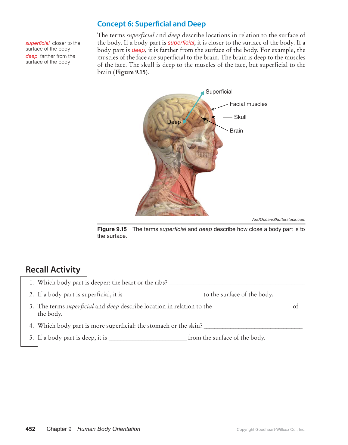 Preparing for A&P: Basic Science and Biology, 1st Edition page 452