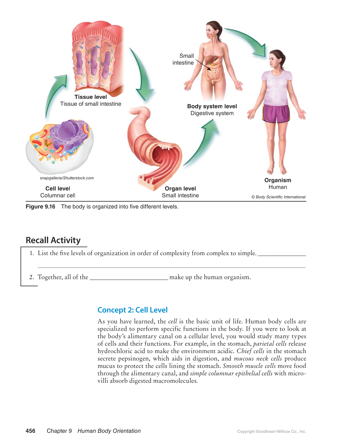 Preparing for A&P: Basic Science and Biology, 1st Edition page 456