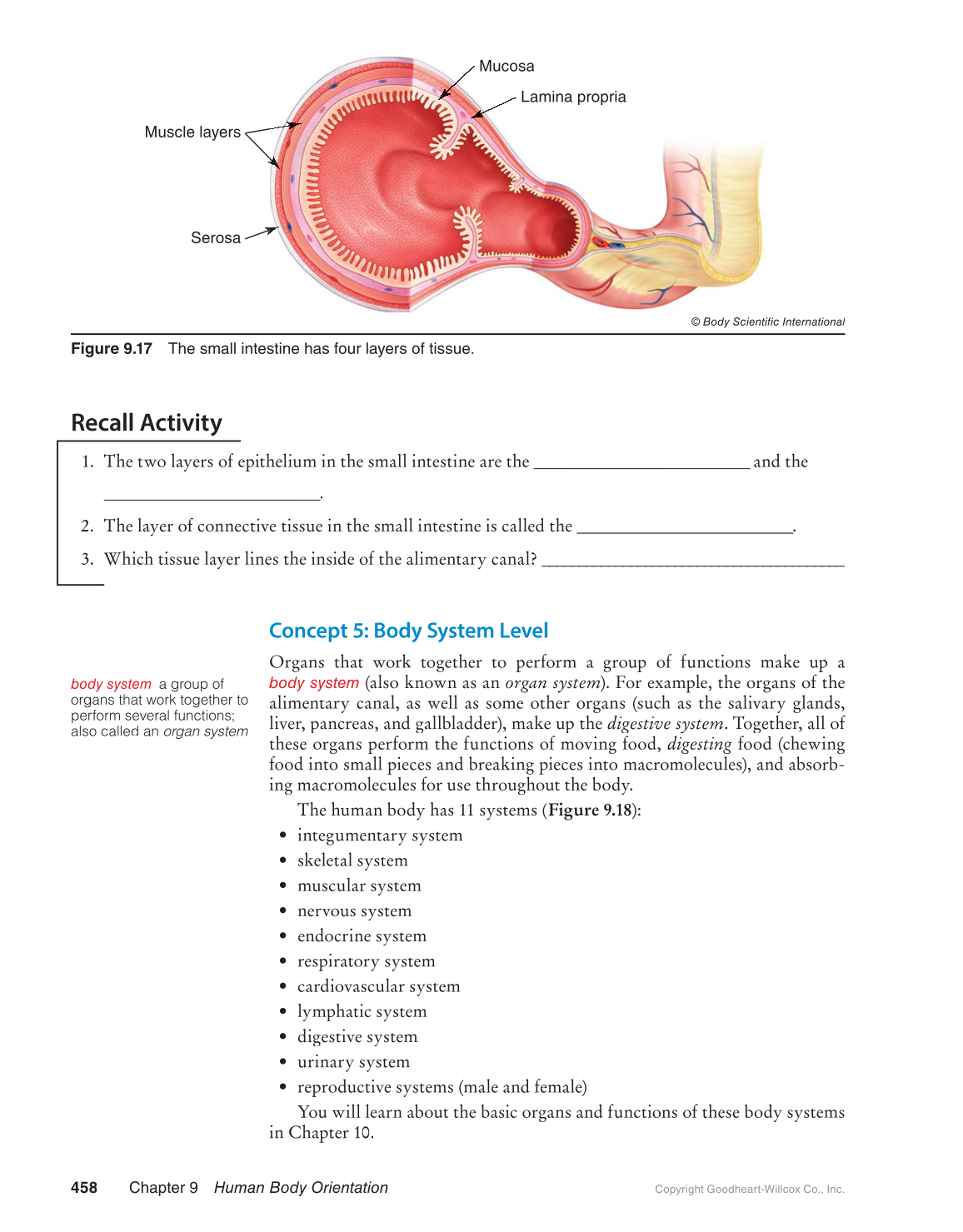 Preparing for A&P: Basic Science and Biology, 1st Edition page 458