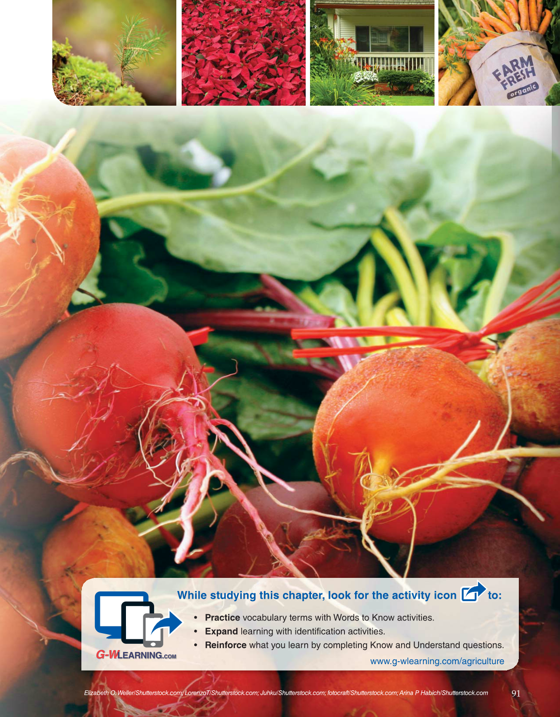 Horticulture Today, 1st Edition page 91