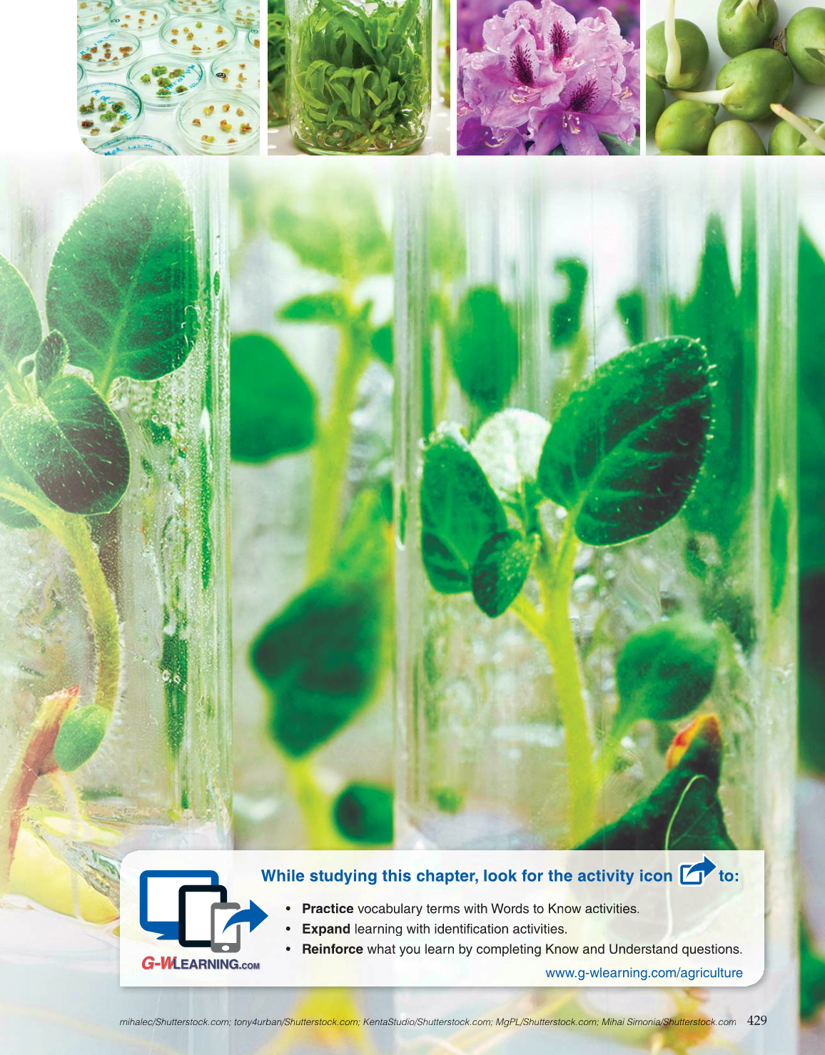 Horticulture Today, 1st Edition page 429