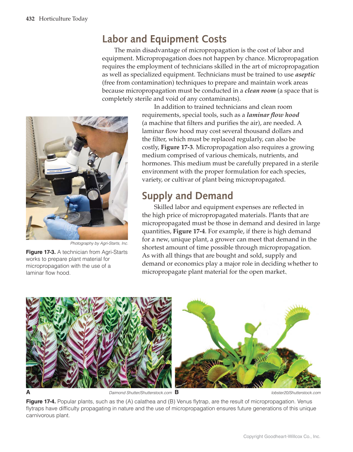 Horticulture Today, 1st Edition page 432