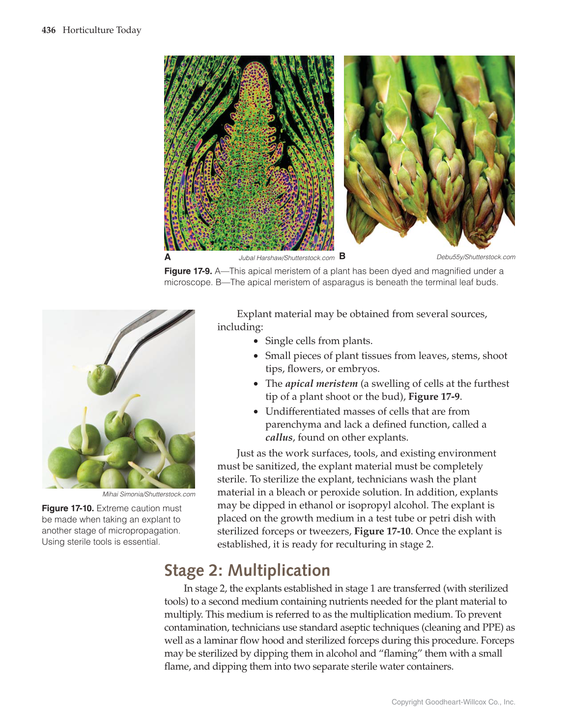 Horticulture Today, 1st Edition page 436